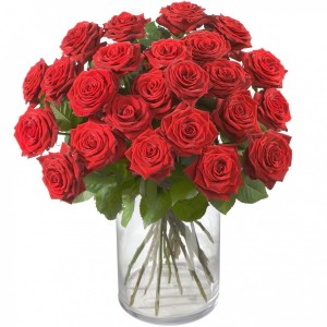 MyBouquet rote Rosen, kurzstielig (50 cm)